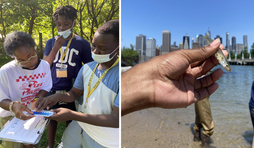 students observe water samples and hand holds small fish