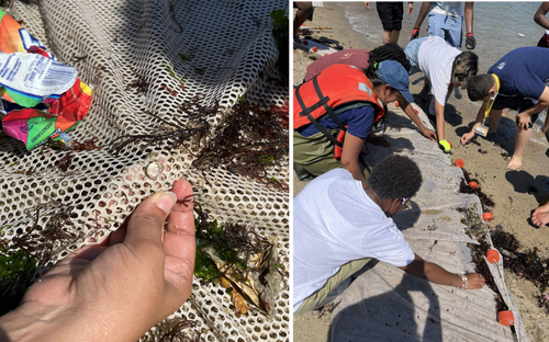 students search fishing netting