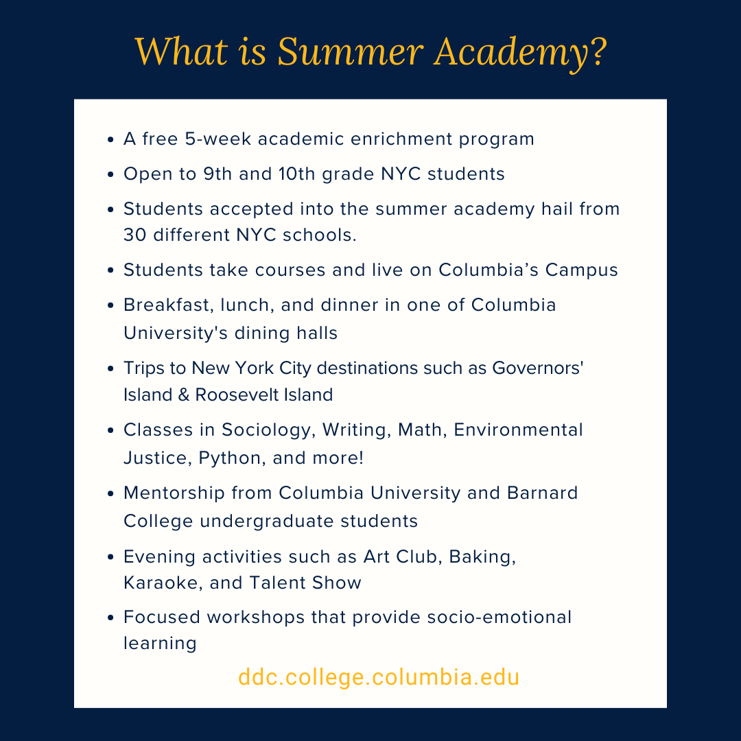 What is Summer Academy?