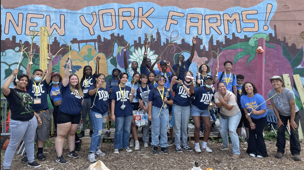 DDC summer academy farm trip